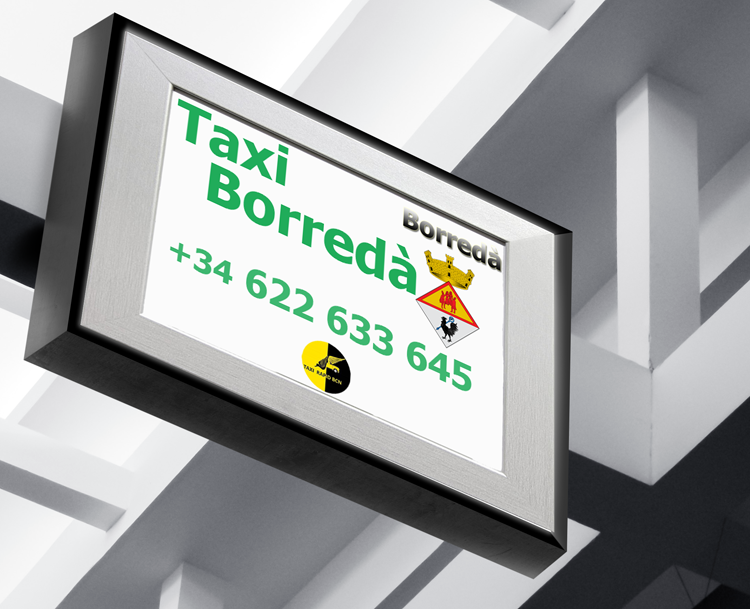 Viaje con Taxi Borredà