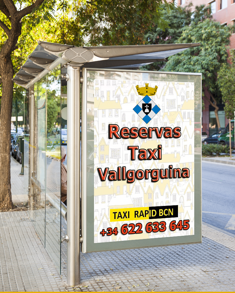 Reserve su Taxi Vallgorguina dede Barcelona